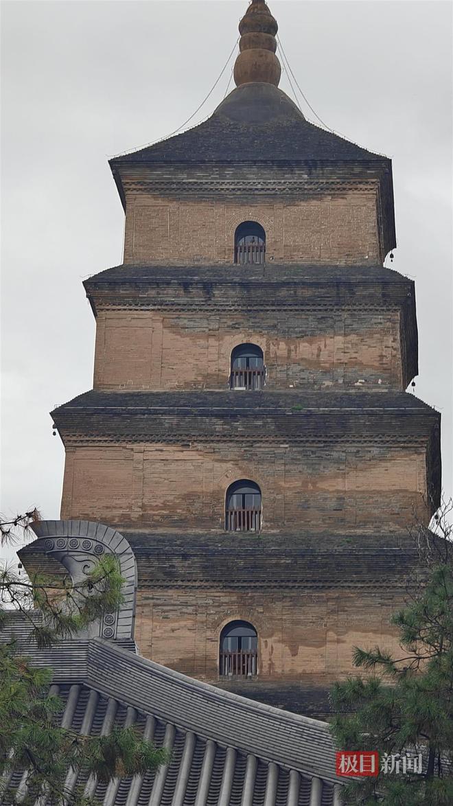 蘑菇大雁塔受潮城墙布满青苔气象局解释成因麻将胡了试玩西安连续一个多月降雨遍地长(图3)